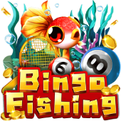 Câu Cá Bingo DN8