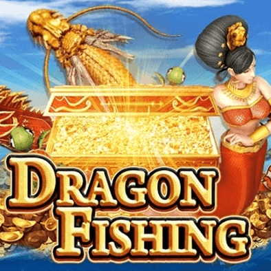 Câu Cá Rồng DN8