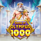 Cổng Olympus 1000 dn8